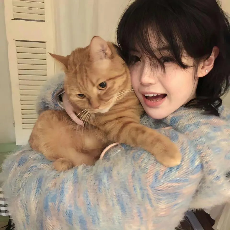 不知剧情也无妨